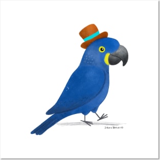 Hyacinth Macaw Posters and Art